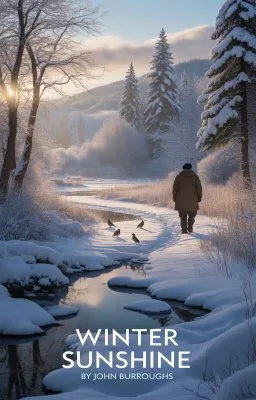 Winter Sunshine